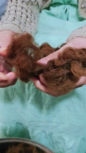 Preparing Alpaca Fiber for Spinning Yarn