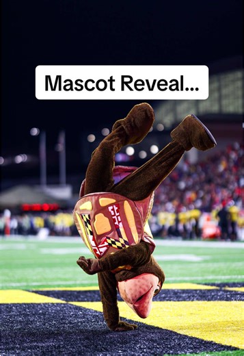 Peter Krimsky: The Terrapins' New Mascot Unveiled
