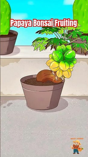 The Bizarre Art of Papaya Bonsai Fruiting! #papaya #animation