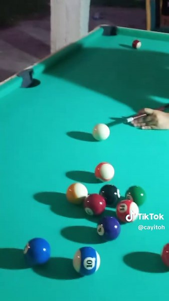 Momentos Graciosos en la Piscina con los Pros