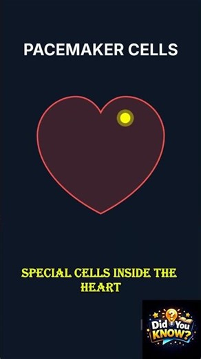 Your Heart Runs on Electricity ⚡❤️