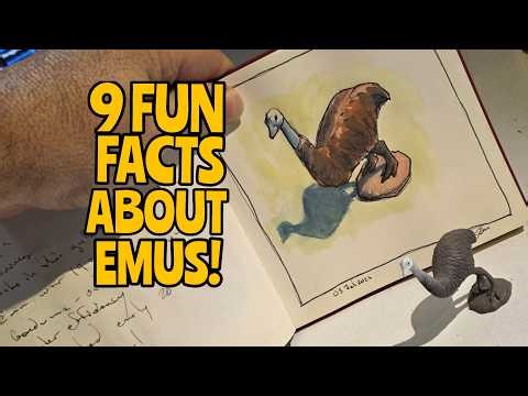 How a modern dinosaur conquered the Australian military