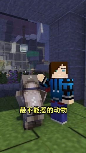 还有哪些谐音梗#我的世界 #搞笑动画