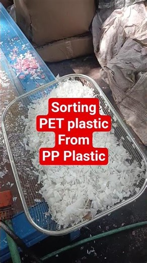 sorting PET plastic from PP using water. the PET sinks. #preciousplastic
