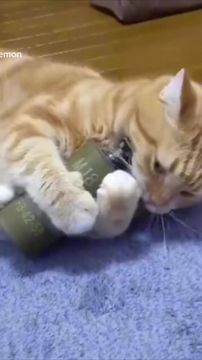 14K views · 276 reactions | Comics In The Attic on Reels | Facebook