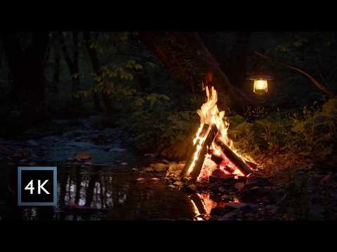 Hidden Campfire by the Forest Stream — Deep Night Ambience for Sleep & Relaxation (4K)