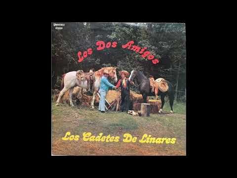 LOS DOS AMIGOS - Los Cadetes de Linares (Video Oficial)