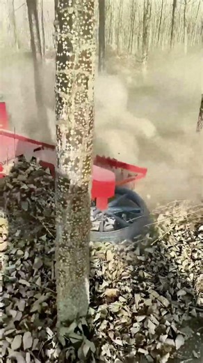 Tractor Leaf Removal Device in Action