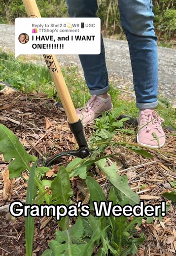 Replying to @Shel2.0💫WB📱UGC🛍️ TTShop Grampa’s Weeder is a game-changer for any gardener! Grab one for someone you love! No bending, no kneeling—just easy weed removal with this tool that saves time and energy. Perfect for moms who love their gardens but not the back pain that comes with weeding. Find it now in the orange shopping bag! #GardeningTools #WeedRemoval #GardenHacks #GardeningLife #GardenTips #GardenLovers #SpringGardening #TikTokShopFinds #giftideas #summer #seasonalgems #tiktokmar