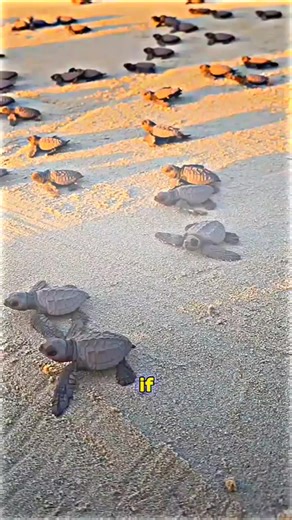 Fascinating Discoveries Enclosed in Amber