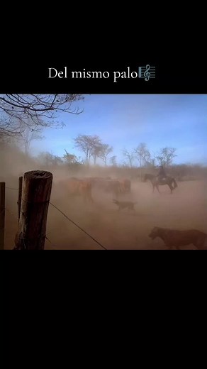 Folclore Argentino: Hernán Figueroa Reyes