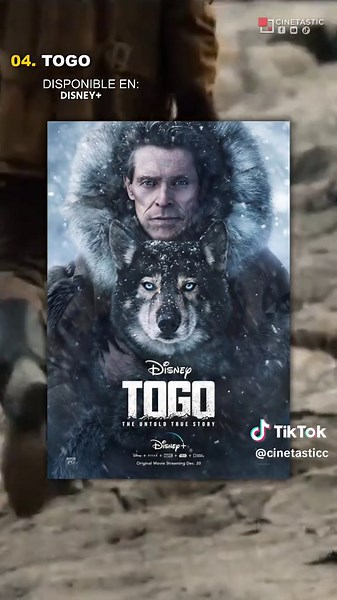 5 Películas de Perritos que Te Harán Llorar