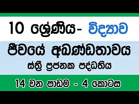 Grade 10 Science Sinhala | 🔴Lesson 14 ( ස්ත්‍රී ප්‍රජනක පද්ධතිය ) | Part Four #Sinhala | O/L Science