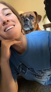 122K views · 2K reactions | His face so adorable #boxer #boxerpuppies #boxerdog #boxerlove #boxersarethebest | Boxer_dog_lovers | Facebook