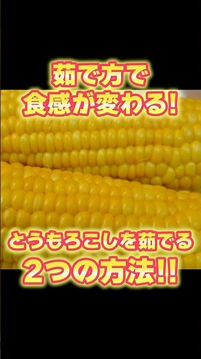 【とうもろこしを茹でる2つの方法】茹で方を変えると食感が変わる！素材を活かす茹で方2選【基本の和食】