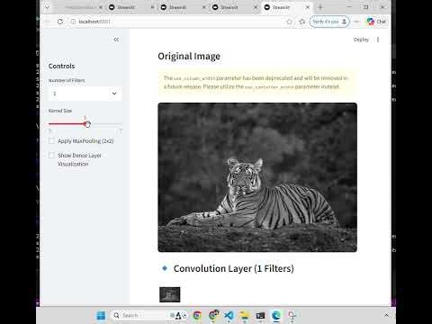 How CNN in neural networks works