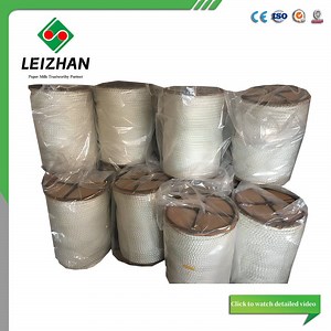 [Hot Item] Paper Leading Carrier Rope with Core for Paper Making Machine