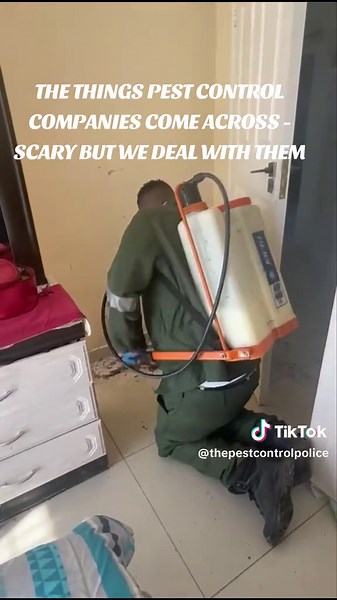 it's a raft made up if different Crawling insects, preferring to stay in your home. they bring vad luck to you in our culture, to your home. We can help you too, WhatsApp 081 368 8349 and we'll gladly help.