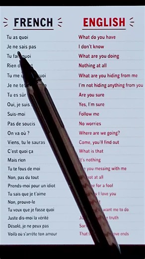 French to English Daily: Key Phrases & Vocabulary Practice