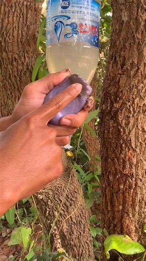 Survival Skills SIMPLE and USEFUL save SOAP Water camping Outdoors bushcraft LifeHack forest #bushcrqfts #skills #camping #outdoors #survival | Hacky Survival