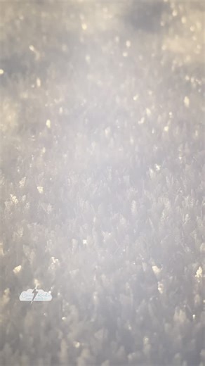 32 reactions · 6 comments | I'm in love with the ice crystals sparkling everywhere we stopped in northern #Iceland today. #wxgeek #frost #ice | Funnel Vision | Facebook