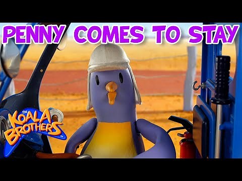 Penny Comes To Stay 🐧💜 | ‪@KoalaBrothersTV‬ | Animation for Kids