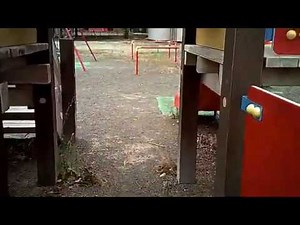 HolyStoneのHS370はトイドローンHS210の上位バージョン！