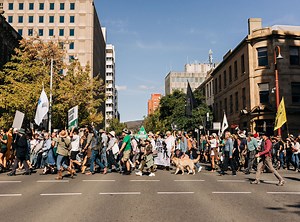 Get involved – Bob Brown Foundation