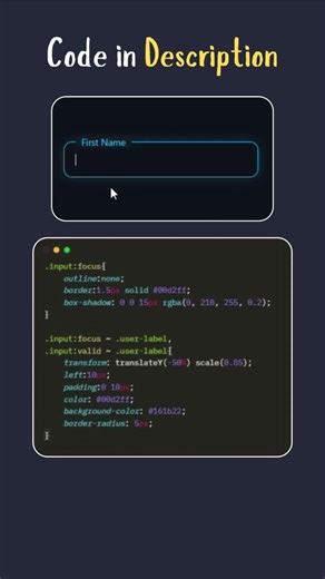 Input Field Animation 😍 #webdevelopment #html #css #shorts