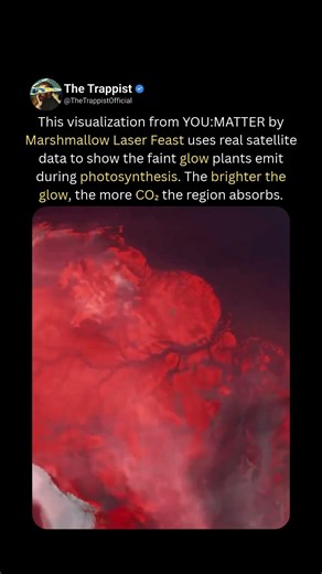 This Is Earth's Carbon Cycle, Made Visible