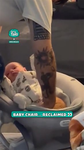 He's the baby, too! 🐱 | Furry Tails