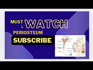 Must watch Periosteum fully explained