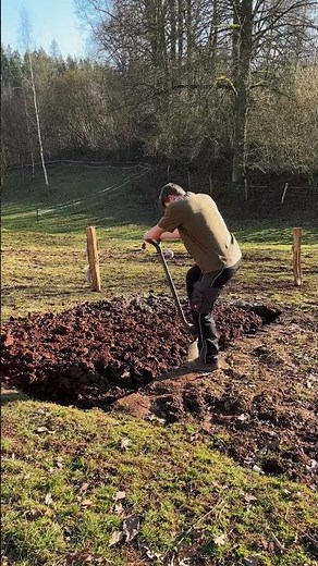 Digging the Garden for Vegetables 🌱