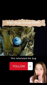 1.4M views · 10K reactions | Alien Bug #fbreelsvideo #fbviralreels #fbpost #pinkiejesy #viralpost #pinkiejesyreels #storytimewithjesy #reelsvideo | Jesy Liwanag | Facebook