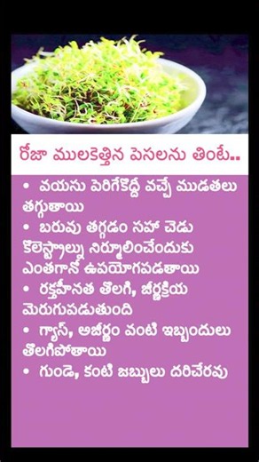 Eat Sprouted Seeds Every Morning for 7 Days and Watch What Happens to Your Body!