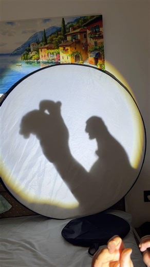 Amazing Hand Shadow Show | Bringing Shadows to Life ✨
