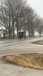 Always be extra cautious when traveling in the Amish communities. I truly enjoy watching the horse and buggy traffic in Arthur, Illinois. Illinois Amish Heritage Center | Illinois State Police Troop 7