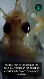 Many gaps, doubts, and unanswered questions remain regarding the...