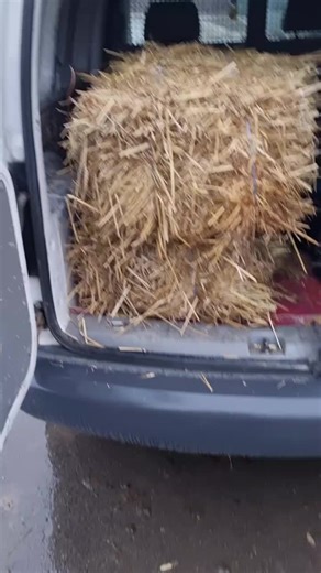 Captivating Insights on Effective Captioning Techniques