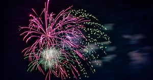 Tips for keeping your pets safe on the Fourth of July