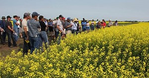 Is Canada in an ag innovation crisis?