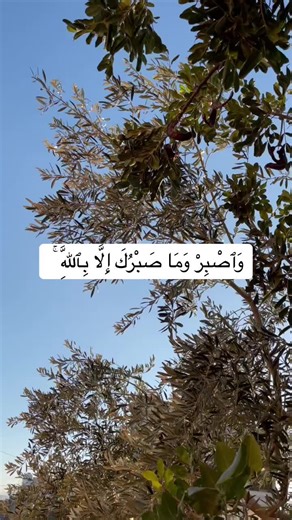 ‏#قرآن_كريم #يارب