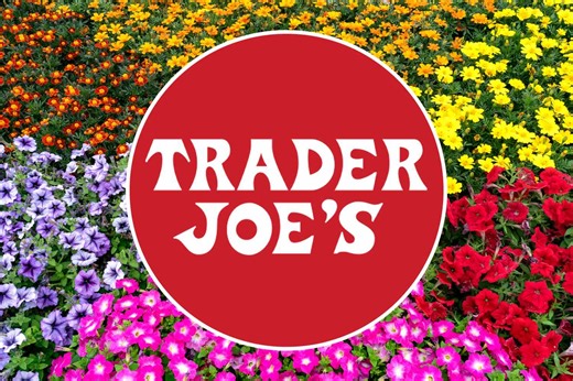 Trader Joe’s Just Dropped Springtime Treats — and These 6 Are Under $7