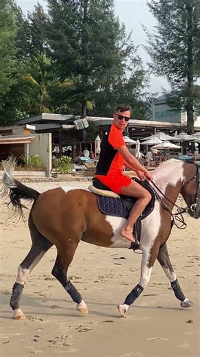 Jusmin horse riding bangtao beach phuket thailand🇹🇭🇹🇭🇹🇭 #horse #horsetrack #horseriding