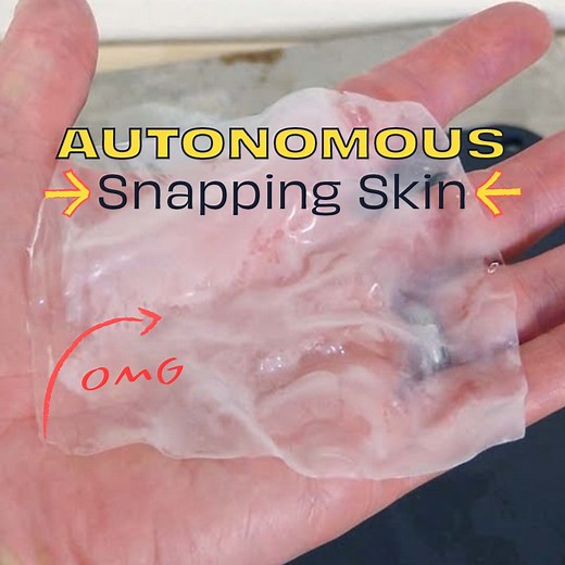 748K views · 9.1K reactions | Autonomous Snapping Skin Tutorial | The Action Lab | Facebook