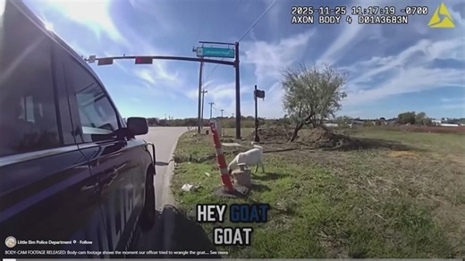 Officer's encounter with goat goes viral