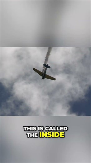 Barnstormer Loop: Epic Aerial Maneuver Revealed! #shorts