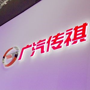 [Hot Item] Hight Quality LED Glowing Car Logos for Hyundai