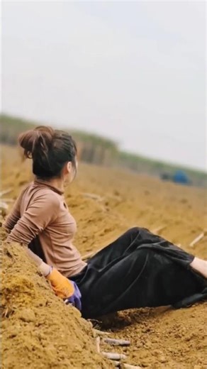 sugarcane cultivation method for high yield | #shorts #farming