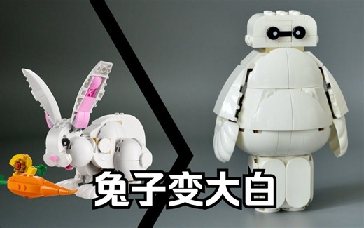 乐高31133套内大白MOC教程